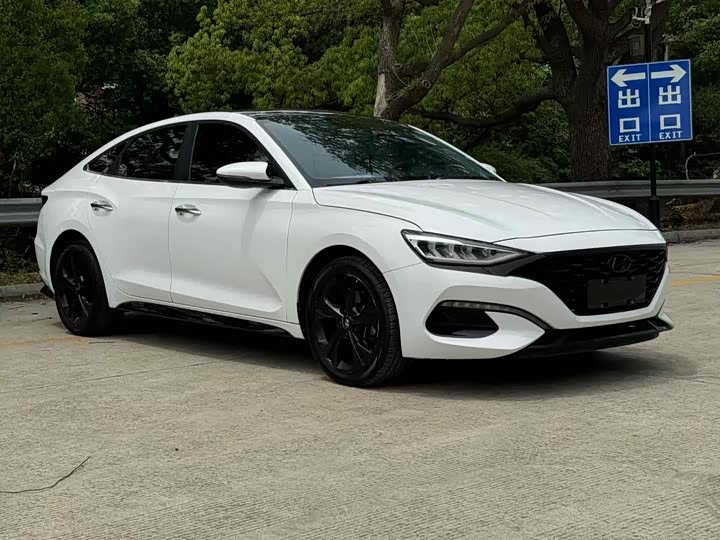 Фото 8 - Hyundai Lafesta