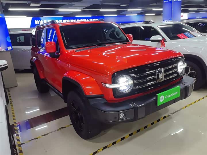 Фото 4 - Tank 300