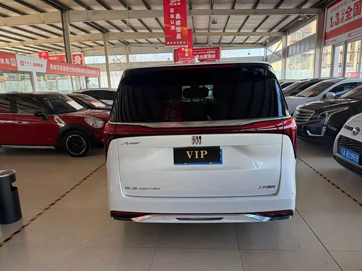 Фото 5 - Buick GL8 Century