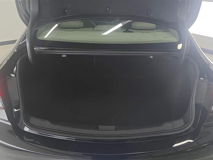 Фото 4 - Buick Regal