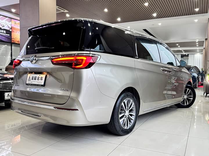 Фото 5 - Buick GL8 ES