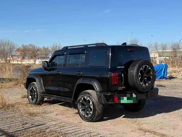 Фото 7 - Tank 300 Hybrid