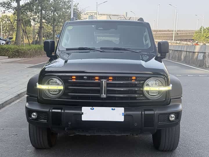 Фото 2 - Tank 300