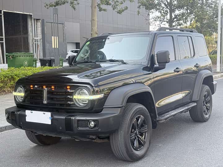 Фото 3 - Tank 300