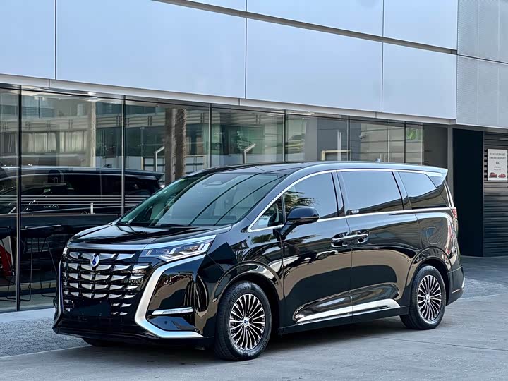 Фото 1 - Denza D9