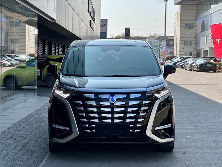 Фото 2 - Denza D9