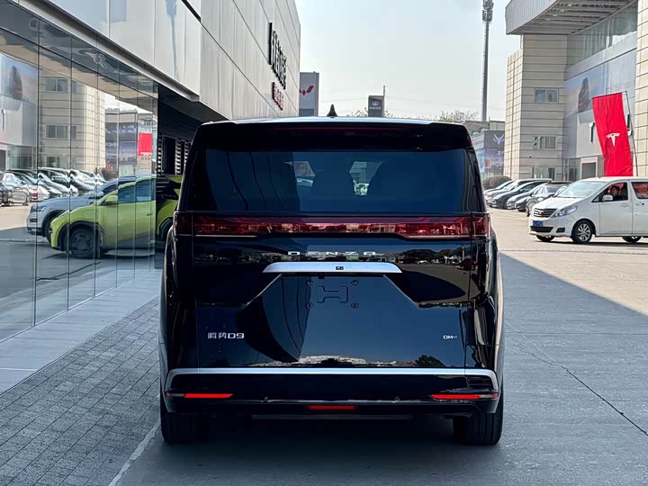 Фото 6 - Denza D9