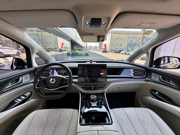 Фото 9 - Denza D9