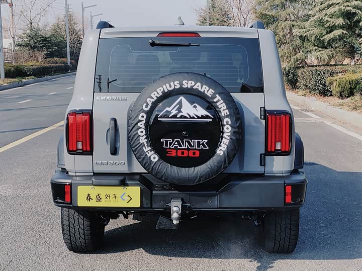 Фото 6 - Tank 300