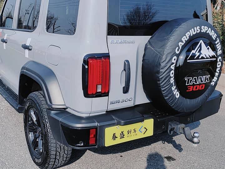 Фото 8 - Tank 300