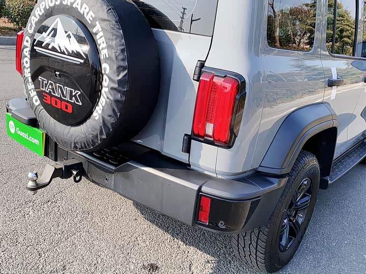 Фото 9 - Tank 300