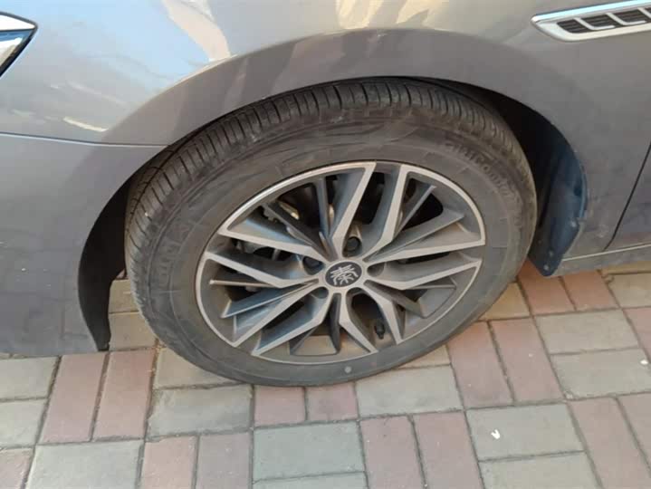 Фото 6 - BYD Qin Plus