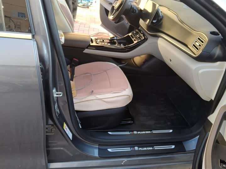 Фото 8 - BYD Qin Plus