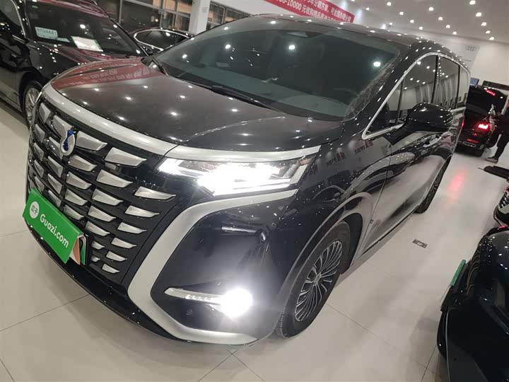 Фото 1 - Denza D9