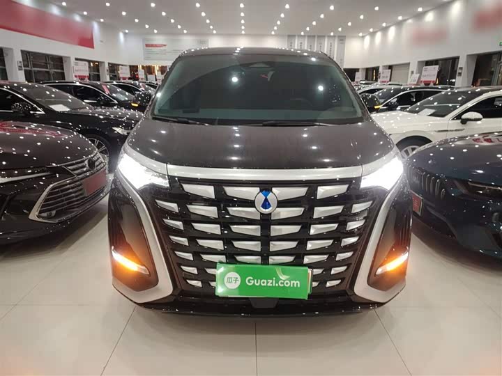 Фото 3 - Denza D9