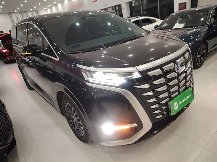 Фото 4 - Denza D9