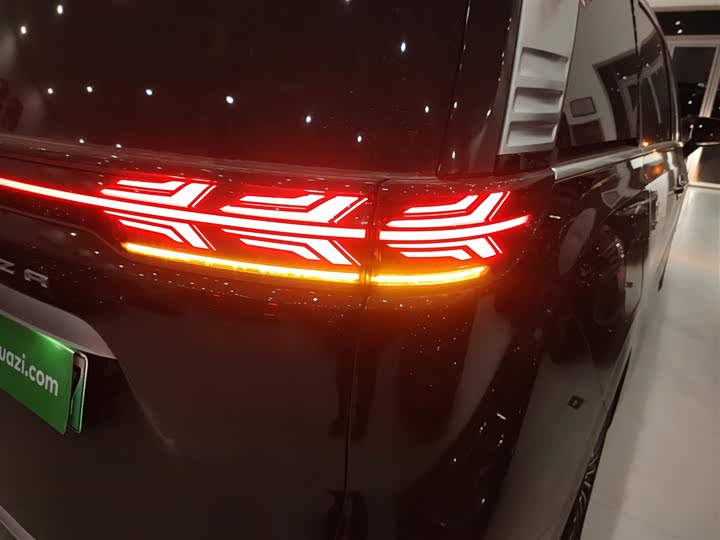 Фото 8 - Denza D9