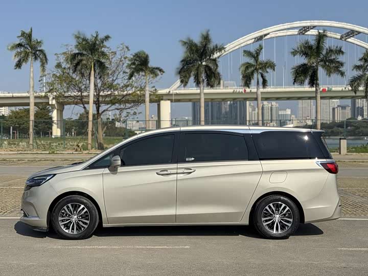 Фото 5 - Buick GL8 ES