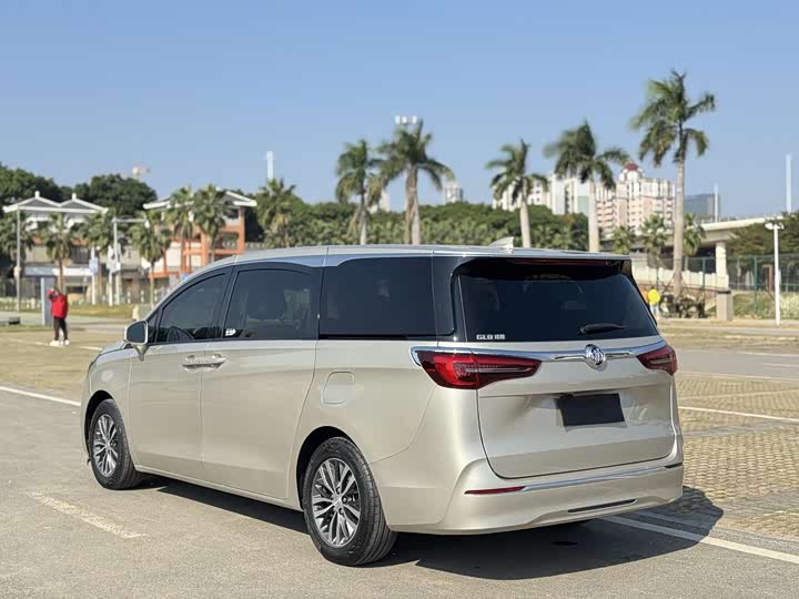 Фото 6 - Buick GL8 ES