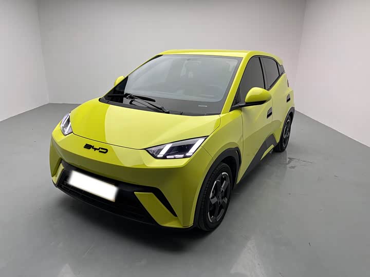 Фото 1 - BYD Seagull