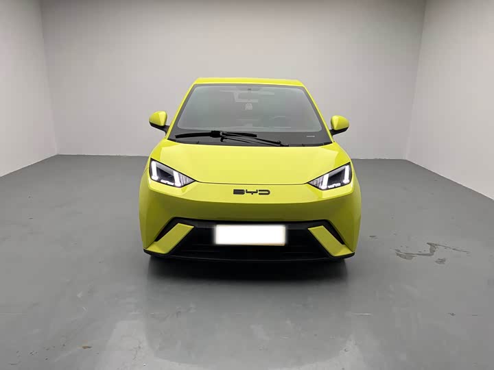 Фото 2 - BYD Seagull