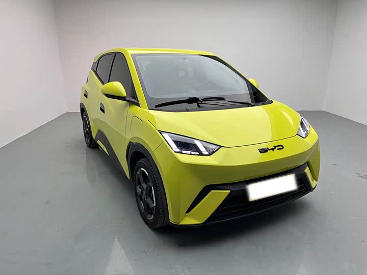 Фото 3 - BYD Seagull