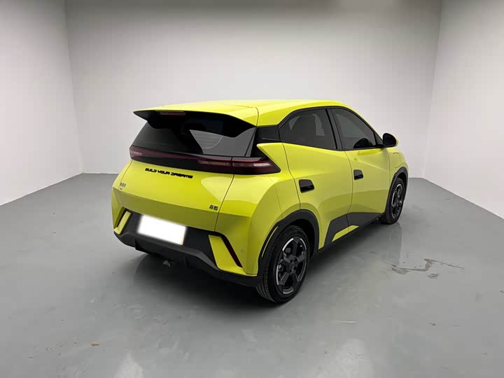 Фото 4 - BYD Seagull