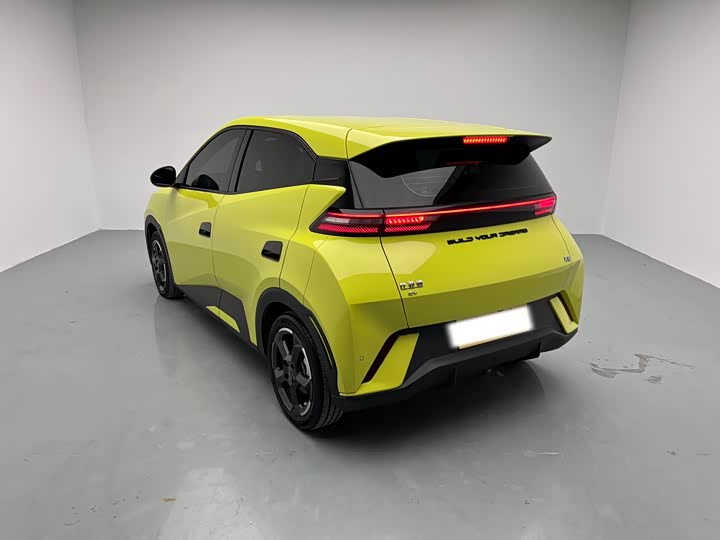 Фото 6 - BYD Seagull