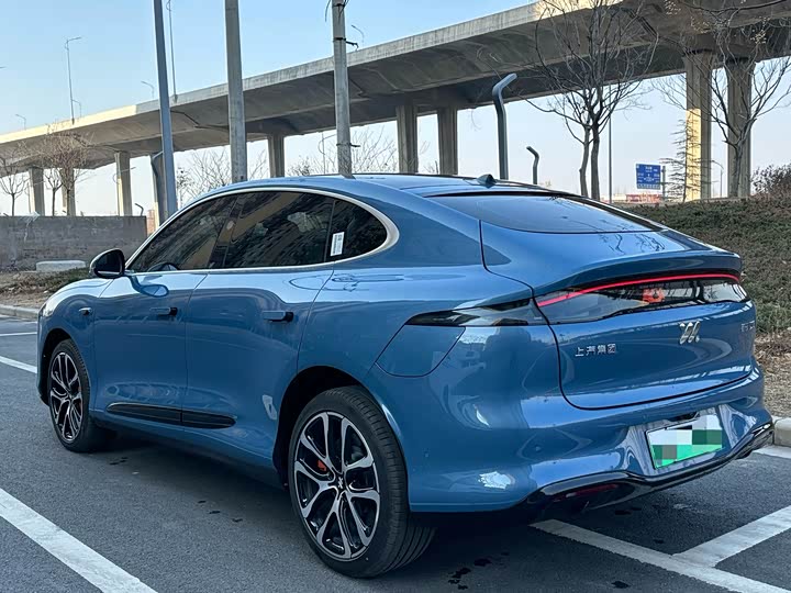 Фото 8 - IM motors LS6