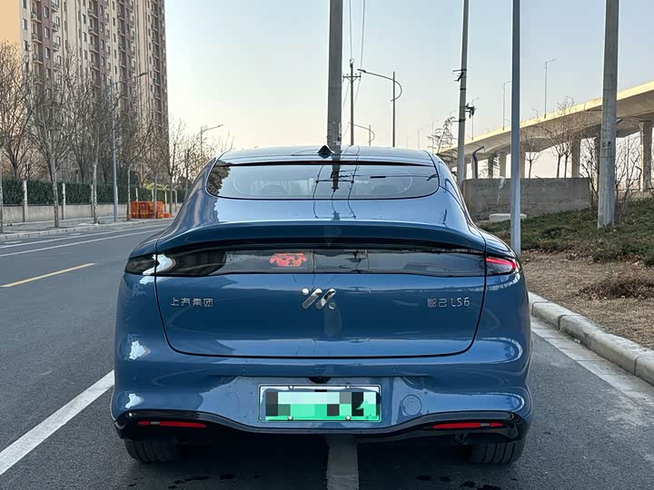 Фото 9 - IM motors LS6