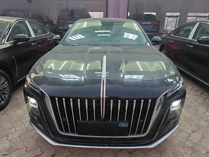 Фото 3 - Hongqi H5