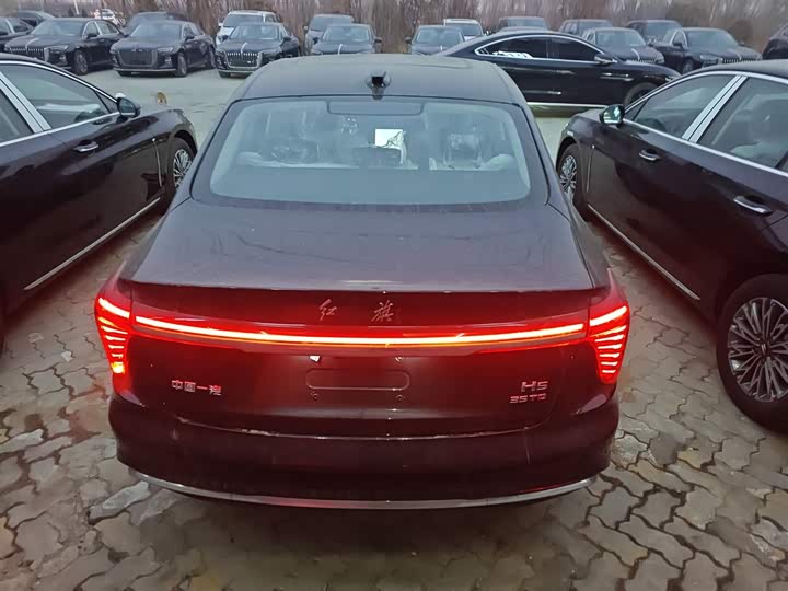 Фото 6 - Hongqi H5