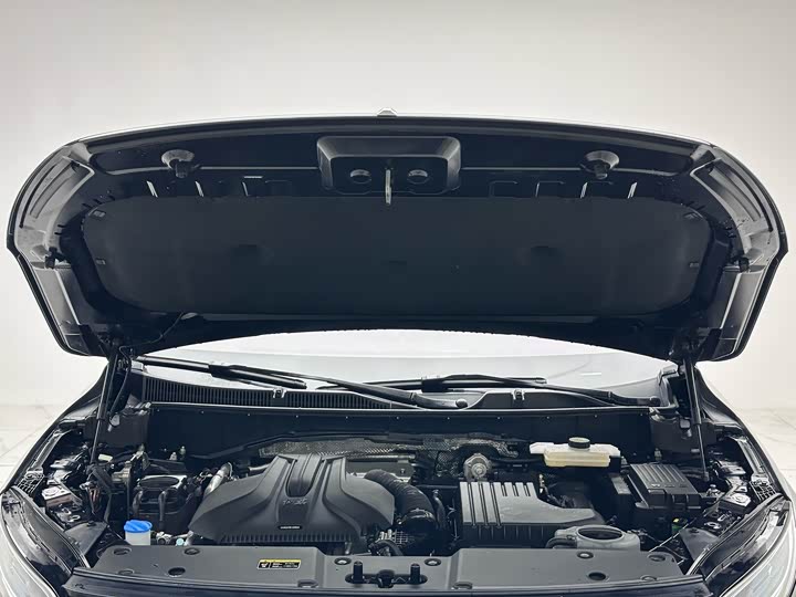 Фото 3 - Hongqi HS7