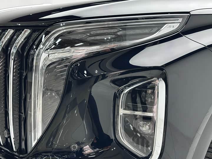 Фото 4 - Hongqi HS7