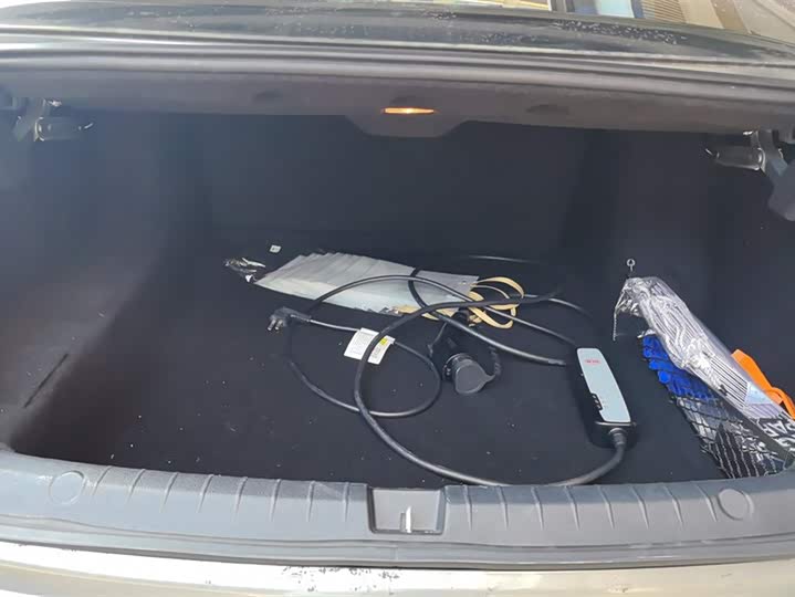 Фото 4 - BYD Qin Plus