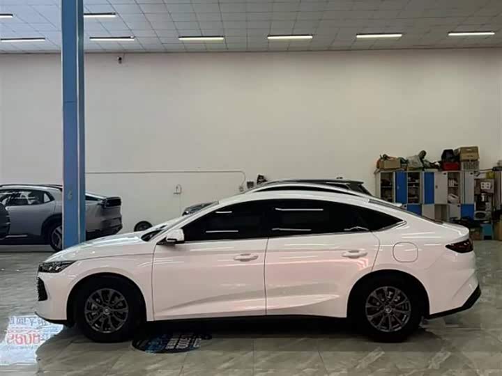 Фото 5 - BYD Qin L