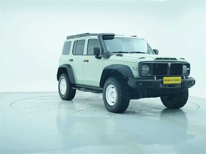 Фото 4 - Tank 300