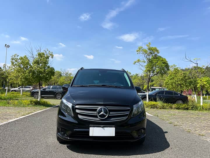 Фото 2 - Mercedes-Benz Vito