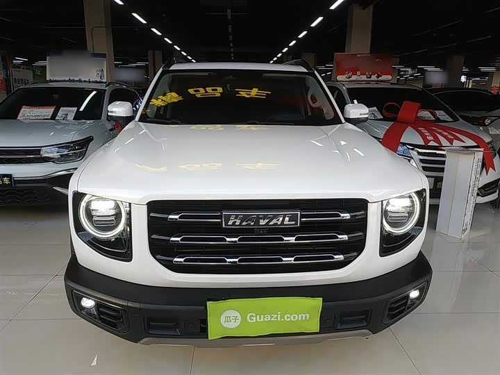 Фото 3 - Haval Dargo