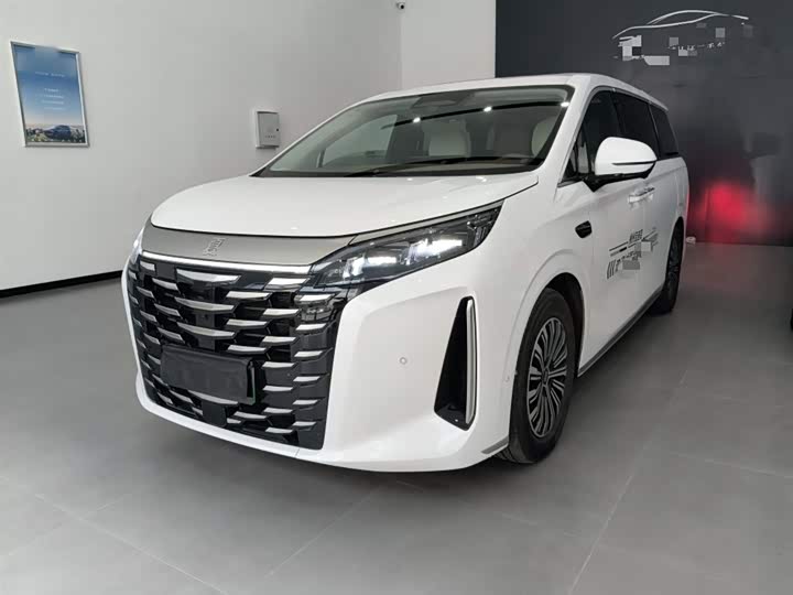 Фото 2 - BYD Xia