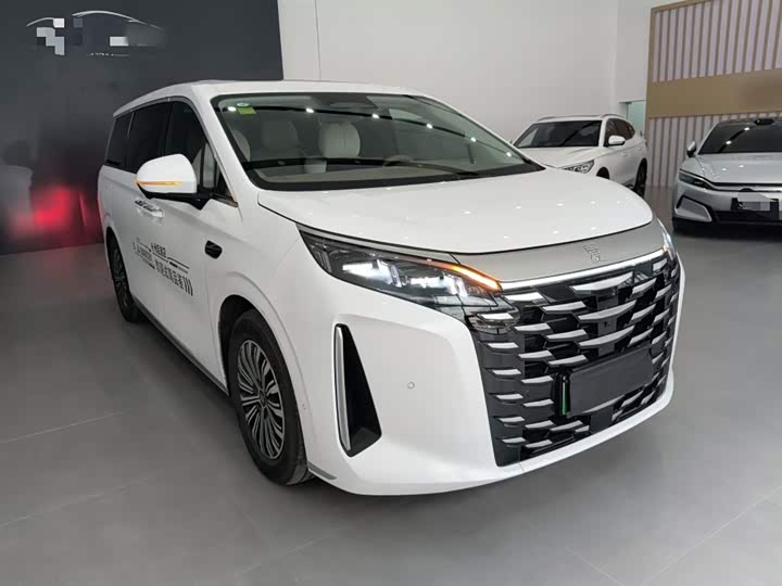 Фото 4 - BYD Xia