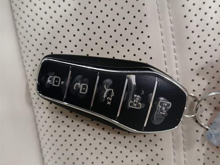 Фото 9 - BYD Xia