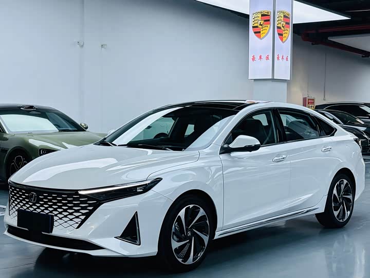 Фото 1 - Changan Raeton Plus