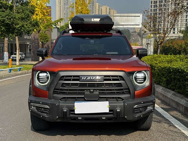 Фото 2 - Haval Dargo