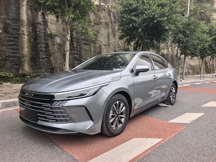 Фото 1 - BYD Destroyer 05