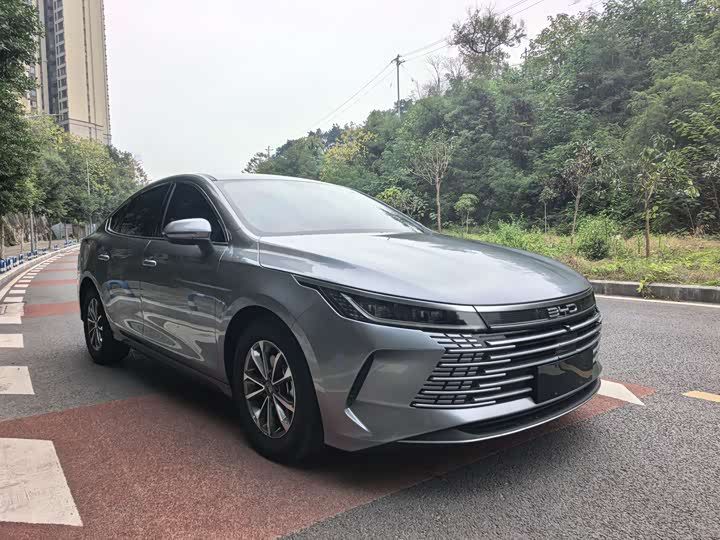 Фото 3 - BYD Destroyer 05