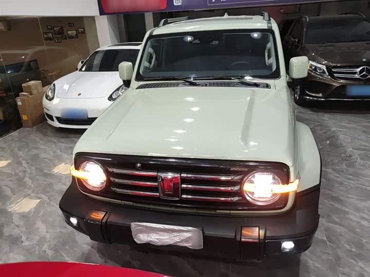 Фото 3 - Tank 300