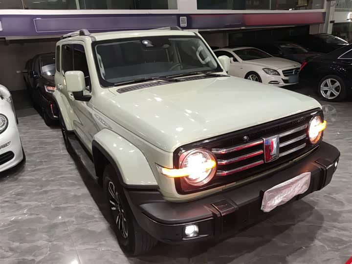 Фото 4 - Tank 300