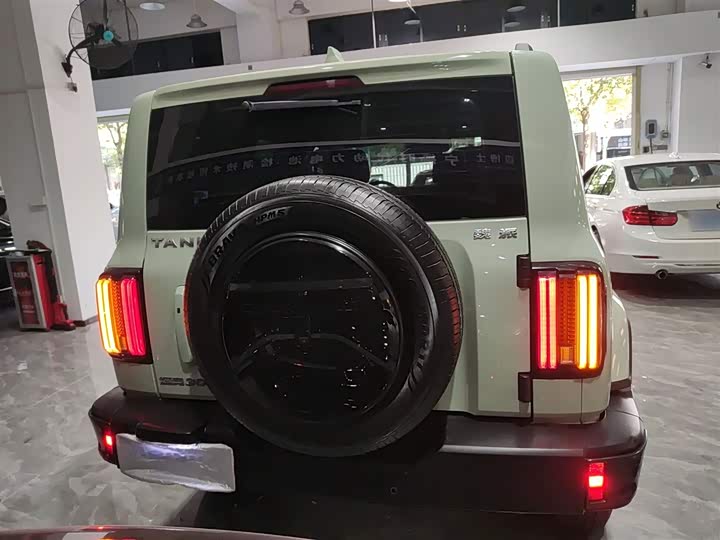 Фото 6 - Tank 300