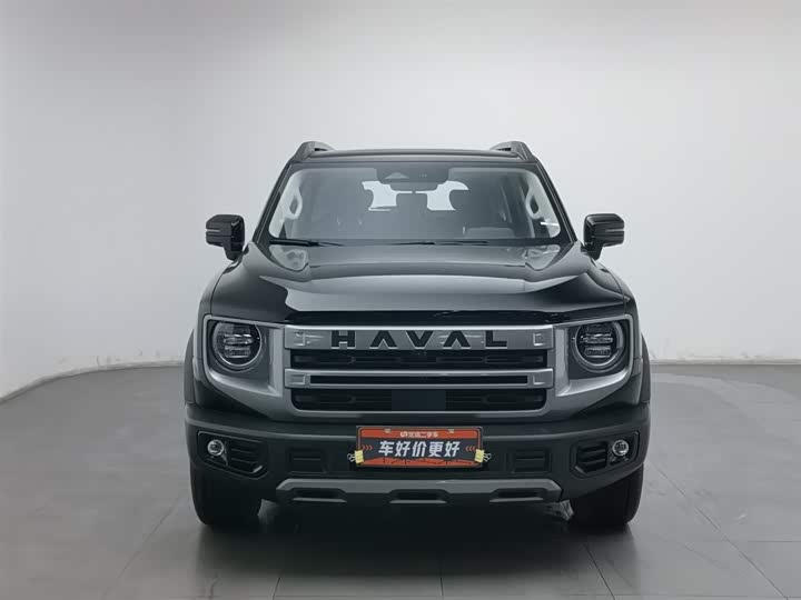 Фото 3 - Haval Dargo